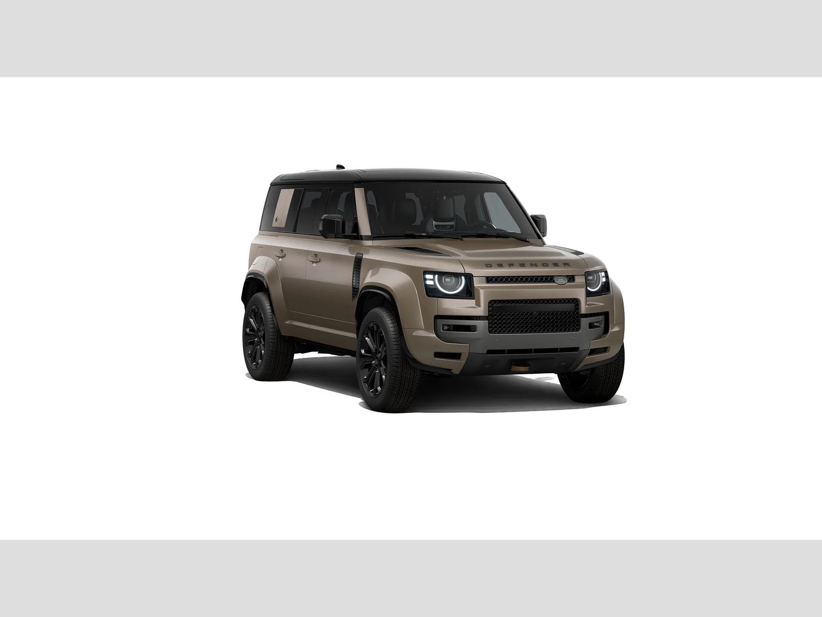 Land Rover Defender OCTA